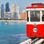 Busan City Top Attractions Full day Tour - Authentic Insights from Travelers