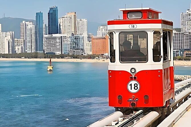 Busan City Top Attractions Full day Tour - Authentic Insights from Travelers