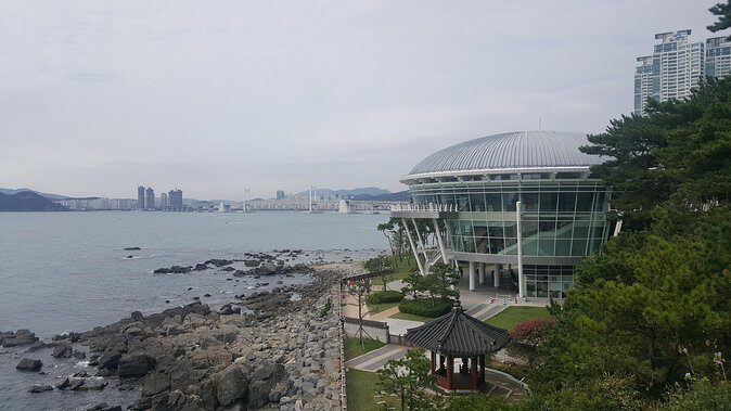 Busan city tour from Seoul by KTX bullet train - Final Thoughts: Who Should Sign Up?