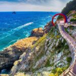 Busan Full-Day City Tour with Gamcheon Village, Sea Temple & more - In-Depth Breakdown of the Itinerary