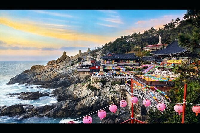 Busan Gyeongju Customizable Private Taxi or Van Tour (up to 8pax) - Why This Tour Offers Great Value