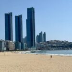 Busan Half-Day Customizable Private Tour in English - Authentic Insights from Reviewers