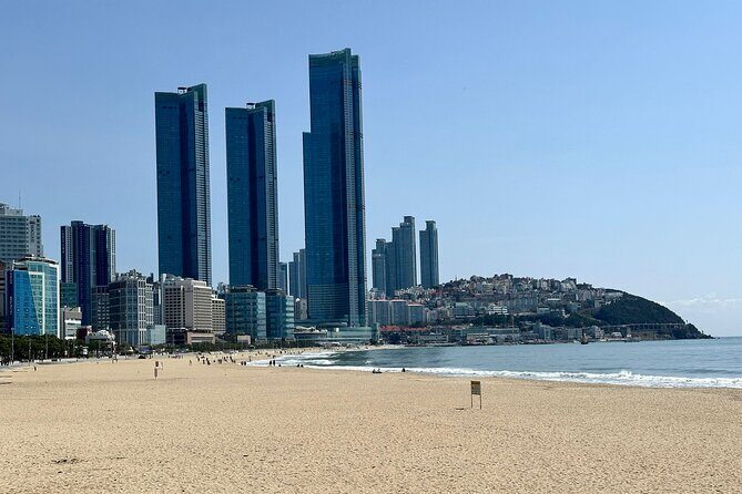 Busan Half-Day Customizable Private Tour in English - Authentic Insights from Reviewers