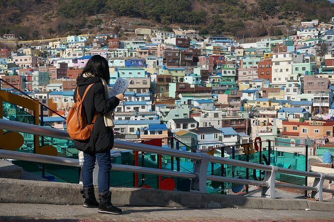 Busan Like a Local: Customized Private Tour - Overview and Booking