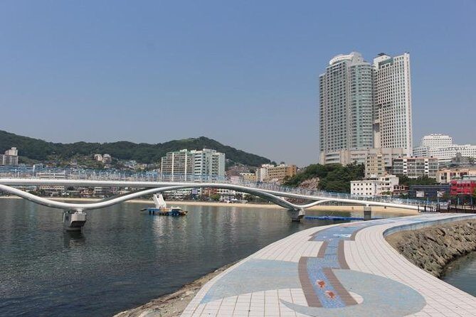 Busan Shore Excursion Tour with Gamcheon Culture Village - Who Is This Tour Best For?