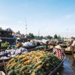 Cai Rang Floating Market & Mekong Delta Private Tour from HCM city - Analyzing the Value