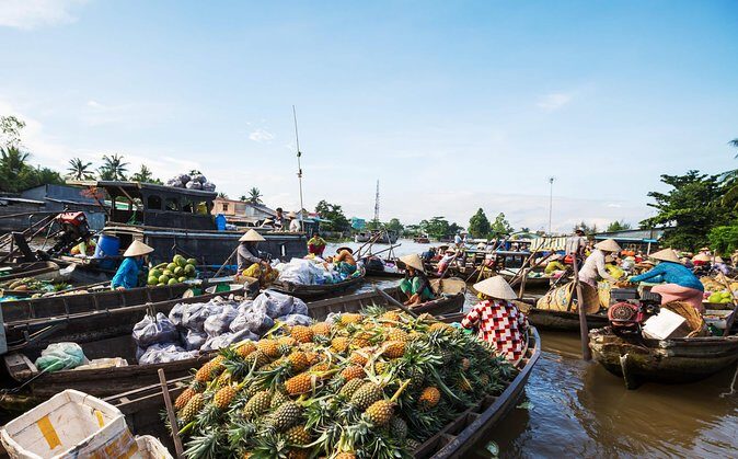 Cai Rang Floating Market & Mekong Delta Private Tour from HCM city - Analyzing the Value