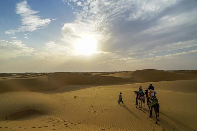 Camel safari in thar desert - Who Is This Tour Perfect For?