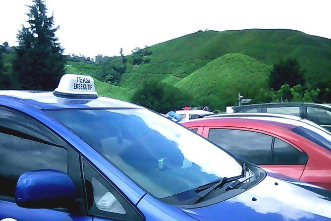 Cameron Highland Private Day Tour - Authentic Experiences and Practical Details