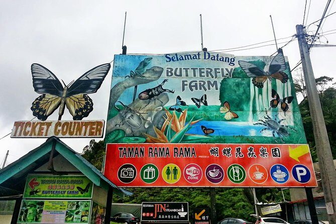 Cameron Highlands Amazing Day Trip Tour with Local Lunch - What We Loved About This Tour