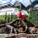 Cameron Highlands Day Trip From Kuala Lumpur - Authentic Experiences from Travelers