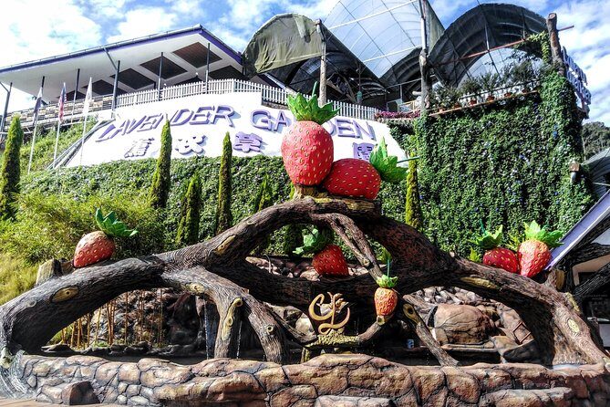 Cameron Highlands Day Trip From Kuala Lumpur - Authentic Experiences from Travelers