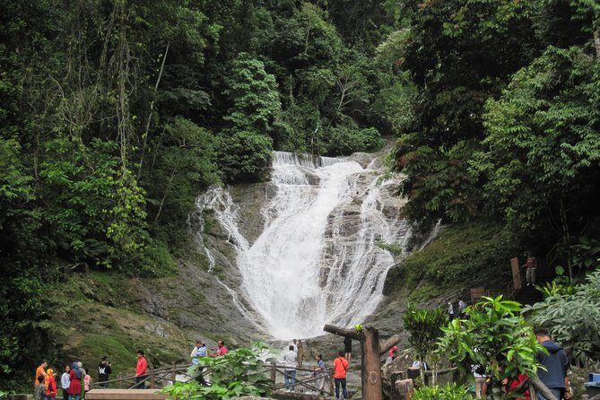 Cameron Highlands, Garden of Nature Full Day Private Guided Tour - Who Is This Tour Perfect For?