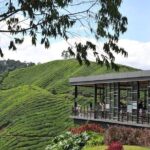 Cameron Highlands Tour From Kuala Lumpur (Private Tour) - What Makes This Tour Stand Out?