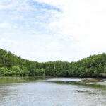 Can Gio Adventure with Wildlife and Culture Experience - Final Thoughts: Who Is This Tour Best For?