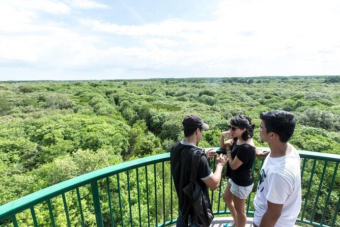 Can Gio Biosphere Private 1 day. - Exploring the Vam Sat Center and Mangrove Ecosystem