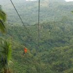 Canyoneering Experience in Kawasan Falls with Lunch - Who Will Love This Tour?
