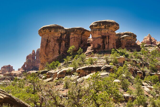 Canyonlands Full Day Private Tour and Hike - What Makes This Tour Stand Out?