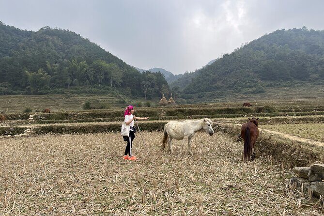 Cao Bang Easy Trekking Tours 2Days/1Night Ban Gioc Waterfall ET1 - Who Should Consider This Tour?