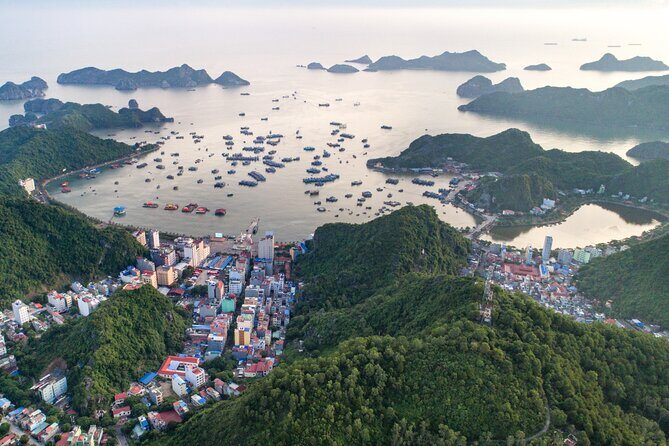 Cat Ba Cruise 2D1N With Option Pick up From Hanoi. - Who Is This Tour Best For?