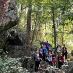Cat Ba National Park Full Day Trekking Tour to Viet Hai Village - Who Will Love This Tour?