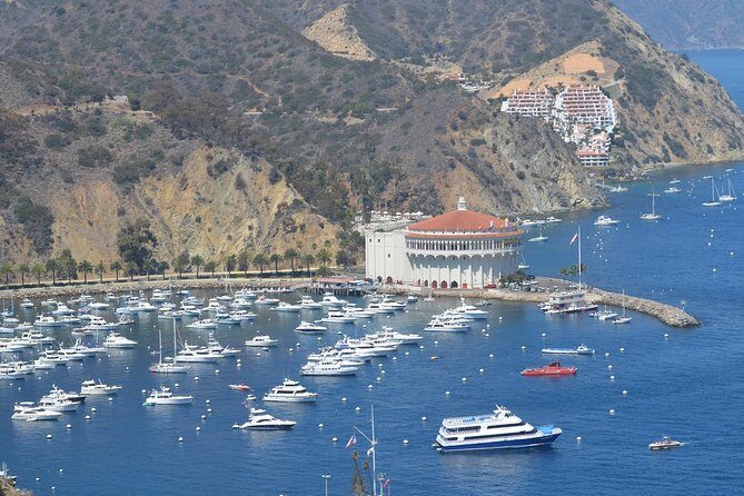 Catalina Island Day Trip from Anaheim Hotels with Discover Avalon Tour - The Price and Its Value