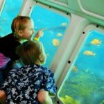 Catalina Island Day Trip from LAX area hotels with Undersea Adventure - Exploring Catalina Island: What to Expect