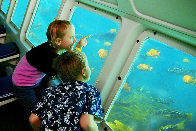 Catalina Island Day Trip from LAX area hotels with Undersea Adventure - Exploring Catalina Island: What to Expect