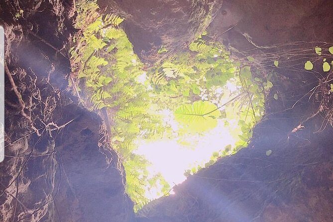 CAVE OKINAWA A mysterious limestone cave that you can easily enjoy! - Who Will Love This Tour?