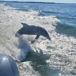 Cayo Costa Private Power Boat Experience - What to Expect on the Day