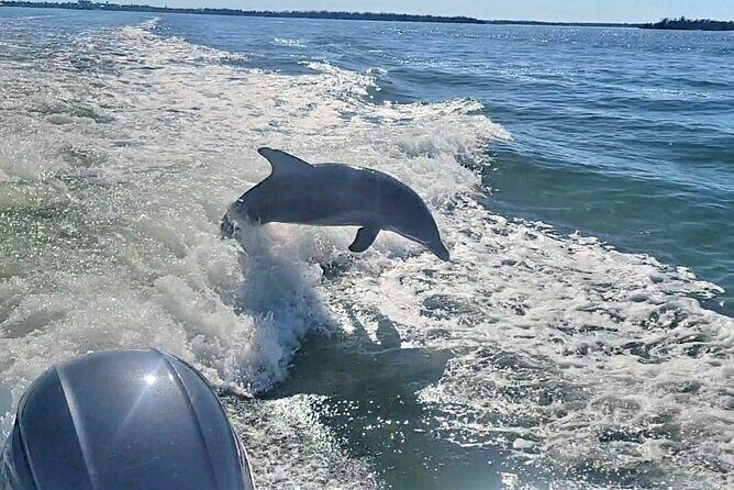 Cayo Costa Private Power Boat Experience - What to Expect on the Day