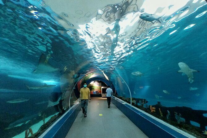 Cebu Ocean Park - Authentic Experiences from Other Travelers