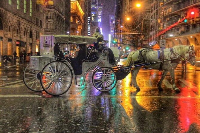 Central Park Private Horse Carriage Tour in NYC - Who Will Love This Tour?
