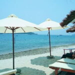 Cham Island Snorkeling Private Tour (Only Snorkeling & Beach) - Transport and Comfort: What You Need to Know