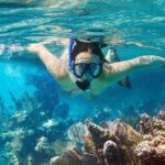 Cham Island Tour Snorkeling -Sunbathing - Nice Beach - Speedboat - The Realities of This Tour