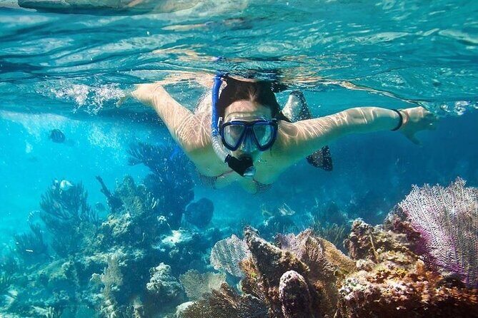 Cham Island Tour Snorkeling -Sunbathing - Nice Beach - Speedboat - The Realities of This Tour