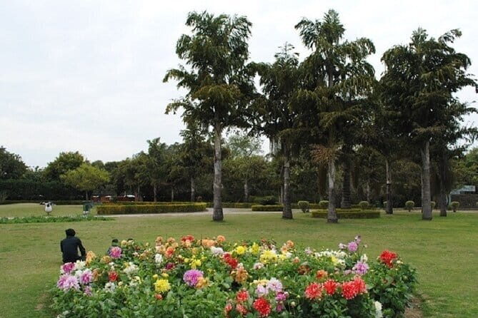 Chandigarh Private Full Day Tour - Who Is This Tour Best For?