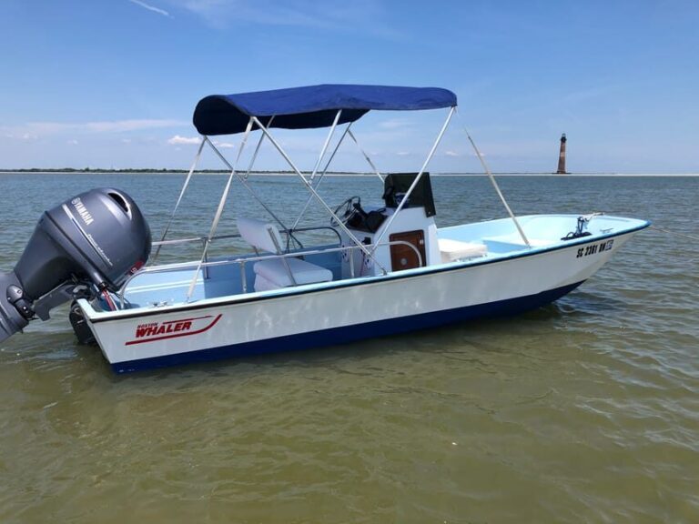 Charleston: Morris Island Dolphin Cruise with Beachcombing - The Practicalities: What’s Included and What Not