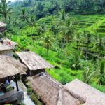 Charter Standard Vehicle with Driver at Bali- 5 Hours Usage - The Experience in Detail
