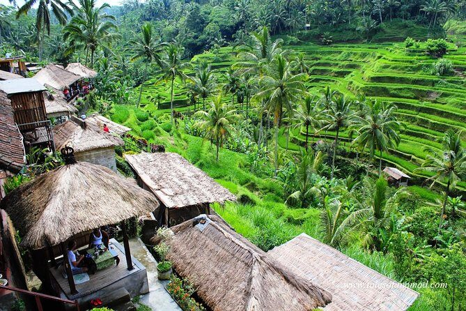 Charter Standard Vehicle with Driver at Bali- 5 Hours Usage - The Experience in Detail