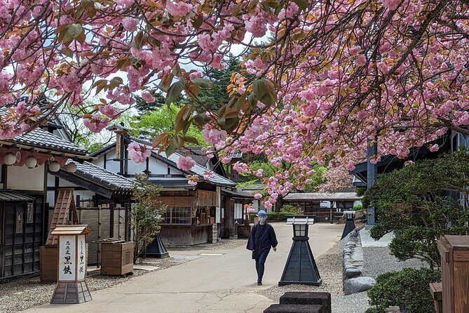 Chartered Private Tour - Tokyo to Nikko, Toshogu, Edo Wonderland - FAQs