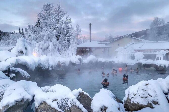 Chena Hot Springs Day Tour with transportation - Exploring the Itinerary in Detail