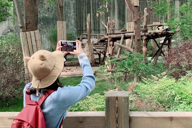 Chengdu Giant Panda Breeding Research Base Ticket - Final Thoughts