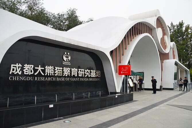 Chengdu Panda Breeding Base Ticket w/ Optional Transfer or Guide - The Sum Up