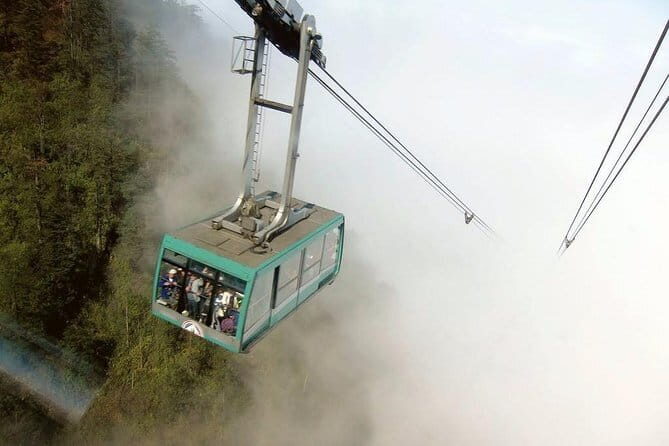 Chengdu Private Day Tour to Emei Mountain with Lunch and Cable Car Ride - What Travelers Say