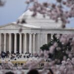 Cherry Blossom Private Bus Tour of Washington DC - Final Thoughts