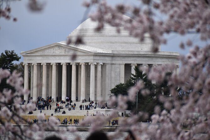Cherry Blossom Private Bus Tour of Washington DC - Final Thoughts