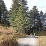Chhaskhet Nature Walk - What Makes This Tour Stand Out?