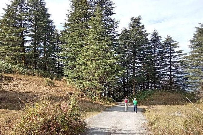 Chhaskhet Nature Walk - What Makes This Tour Stand Out?