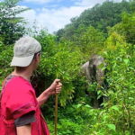 Chiang Mai 3 Activity Sunrise Suthep Temple Elephant Sanctuary - Practical Aspects & What You Need to Know